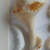 Assemblage marin "Lumière" – Image 6