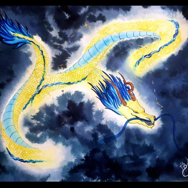 Guide Dragon